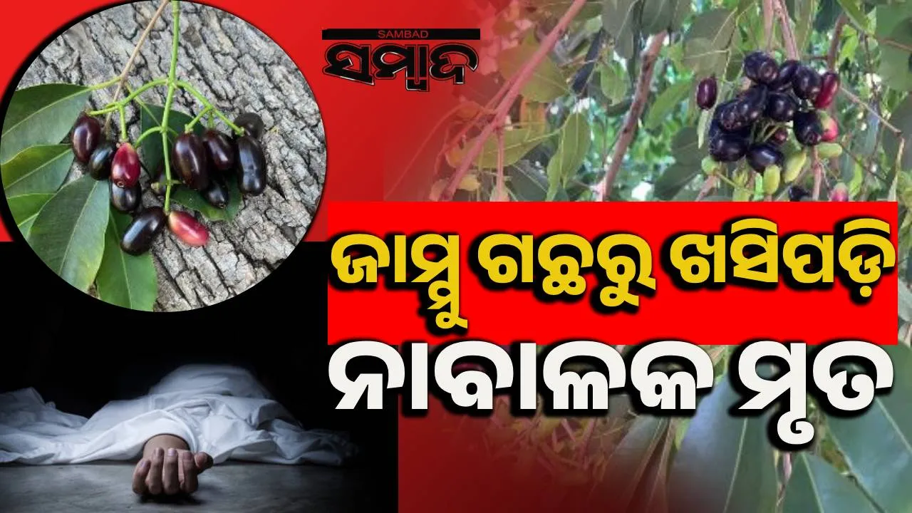  Minor boy dead in Rairakhol.  Photograph: (sambad.in ) 