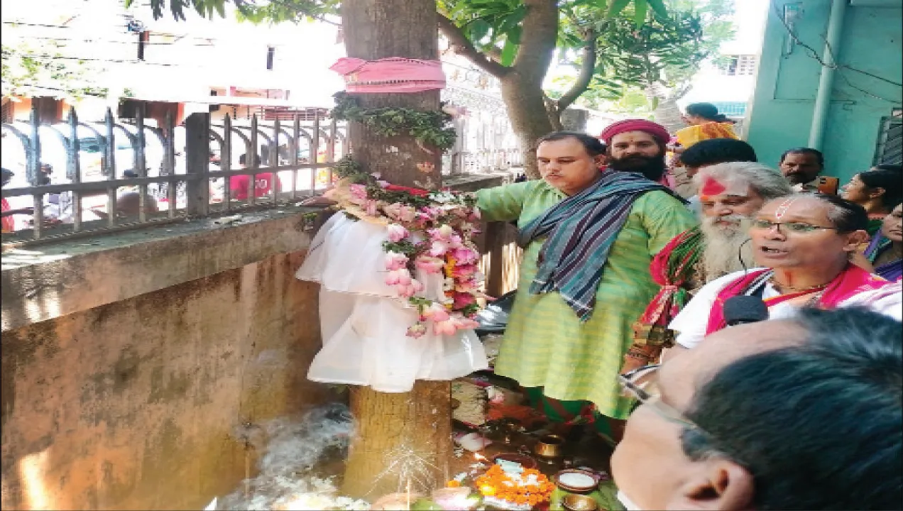  ଶ୍ରୀମନ୍ଦିର ଇତିହାସରେ ପ୍ରଥମ: ସତ୍ୟବାଦୀ ବକୁଳବନରେ ମିଳିଲାନି ମହାପ୍ରଭୁଙ୍କ ଲାଗି ବଉଳକାଠ, ରାଜଧାନୀରୁ ଗଲା
