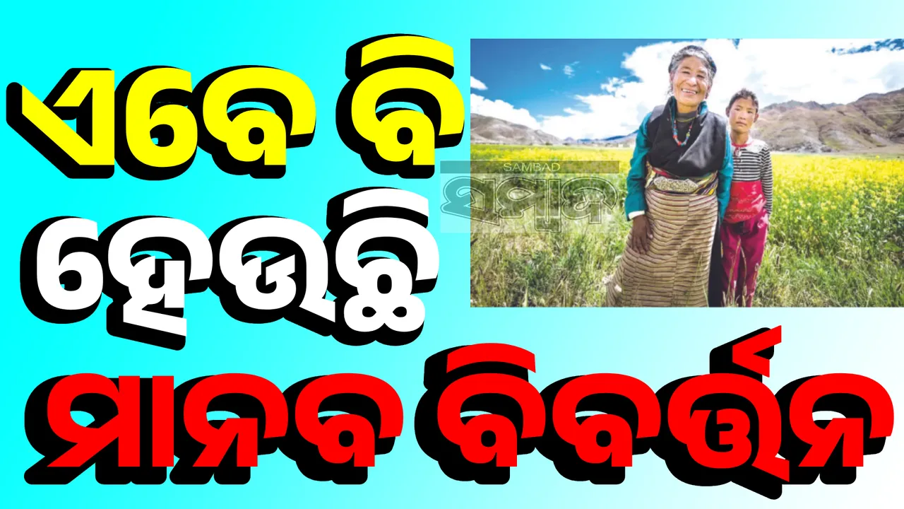  special story Photograph: (sambad.in ) 