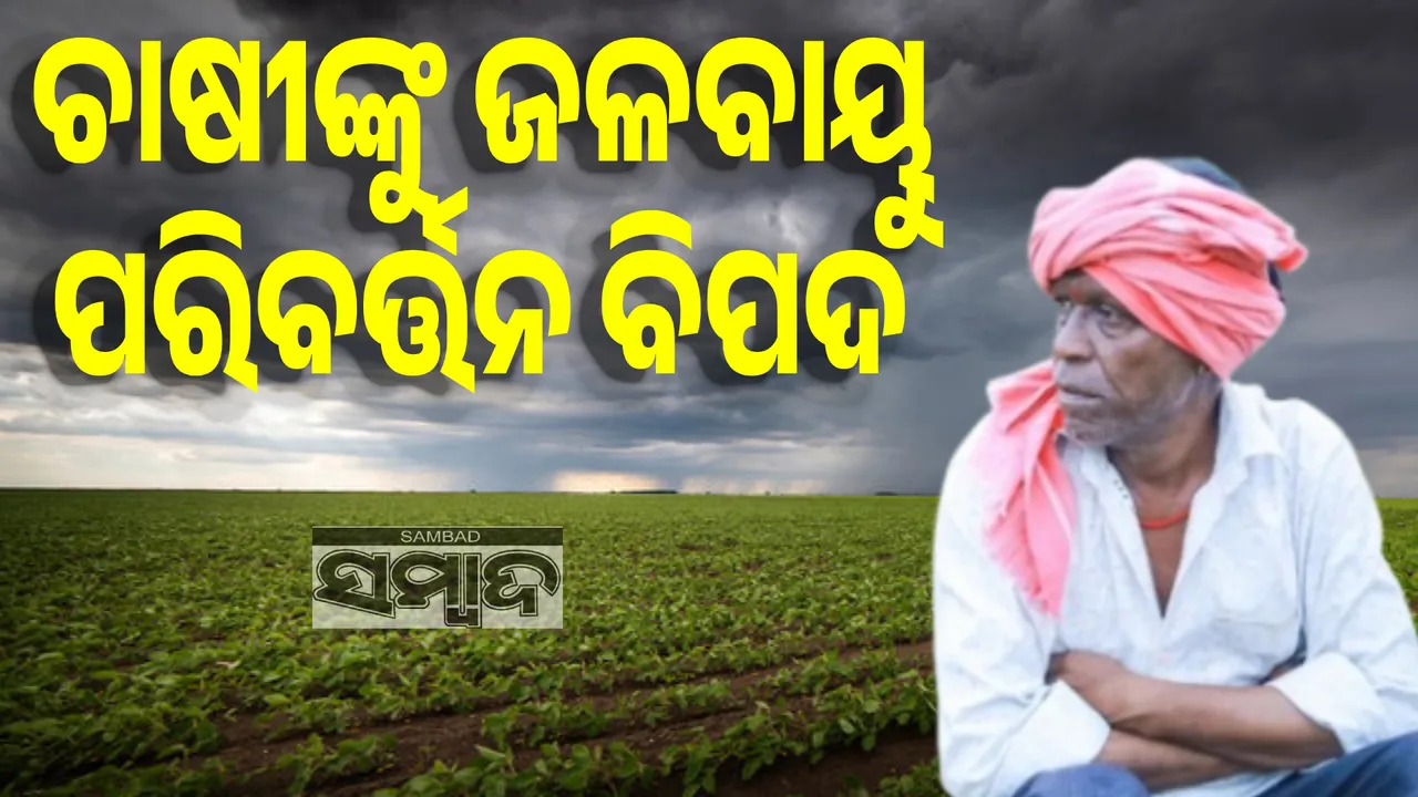  ଭାରତୀୟ ଚାଷୀଙ୍କୁ ଜଳବାୟୁ ପରିବର୍ତ୍ତନ ବିପଦ: ଅଦିନିଆ ବର୍ଷା, ବଢୁଛି ଗରମ