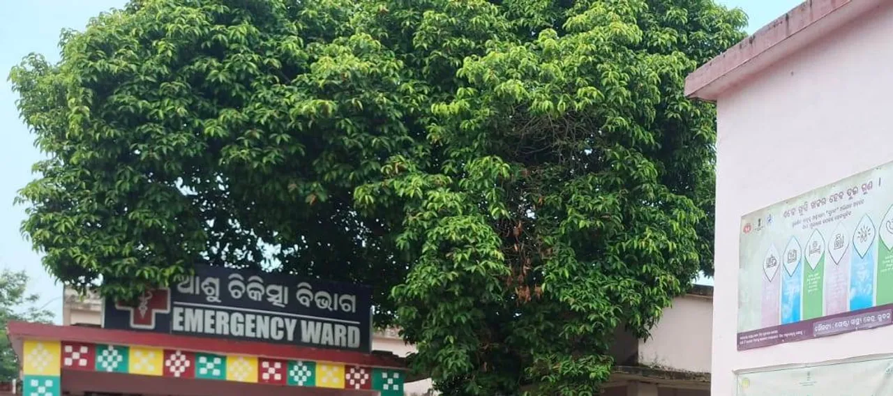  ଘରୋଇ କଳି: ପେଟ୍ରୋଲ ପକାଇ ପୁତୁରା ଘର ଜାଳିଦେଲେ , ପୁଲିସ ଭୟରେ ବିଷ ପିଇ  ବଡ଼ବାପା ଗୁରୁତର