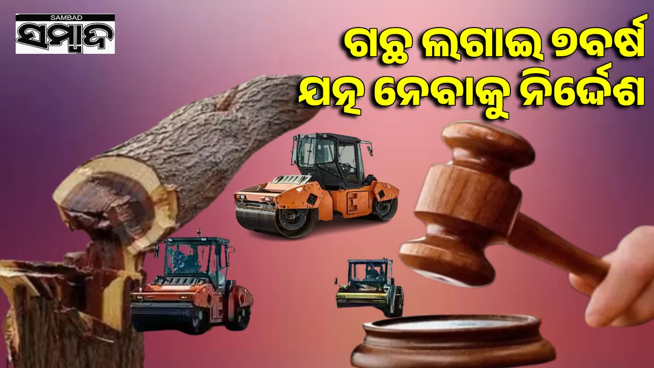  Cutting of trees for development is acceptable: High Court Photograph: (sambad.in) 