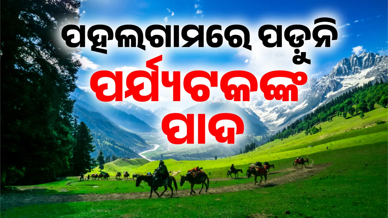  Photograph: (Sambad.in) 
