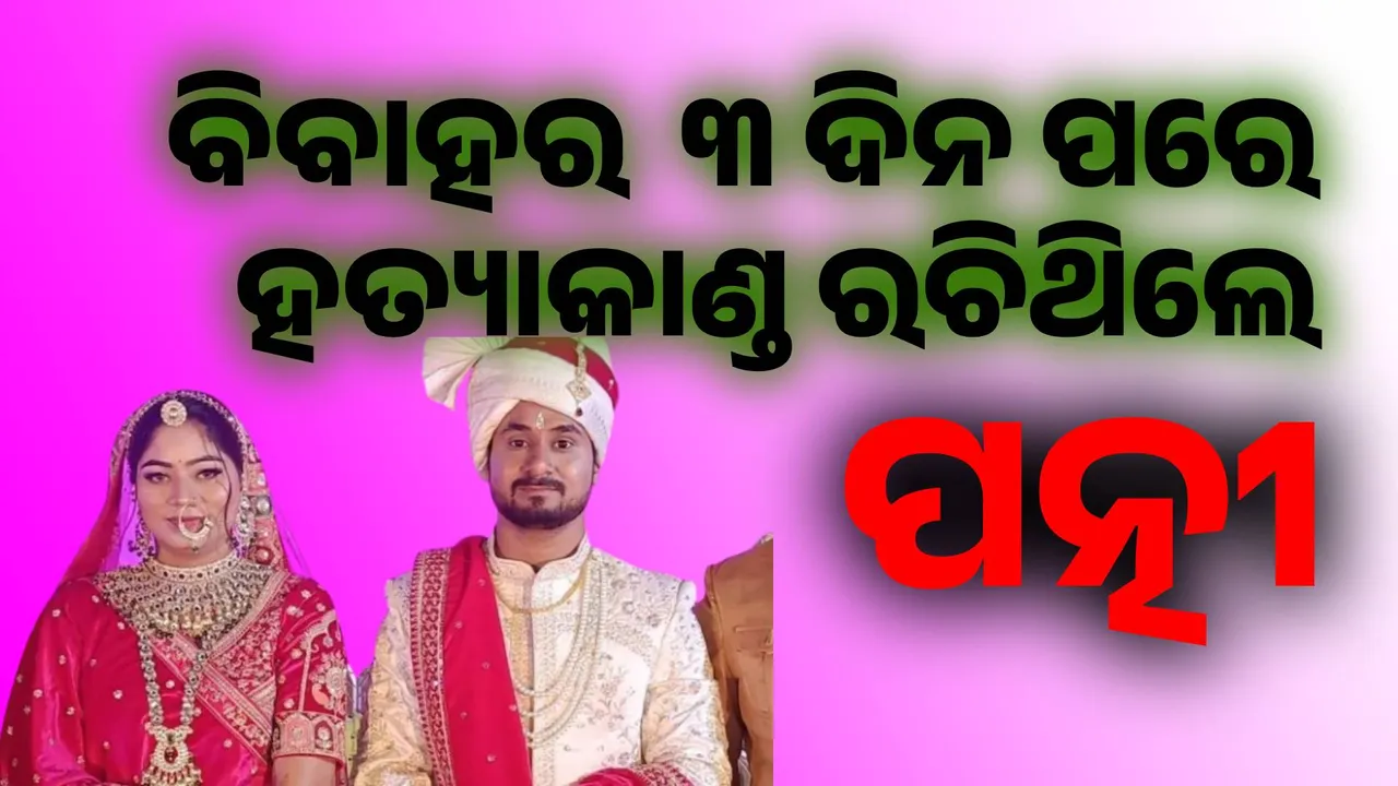  ବିବାହର ୩ ଦିନ ପରେ ଷଡ଼ଯନ୍ତ୍ର କରିଥିଲେ ସୋନମ  ରଘୁବଂଶୀ