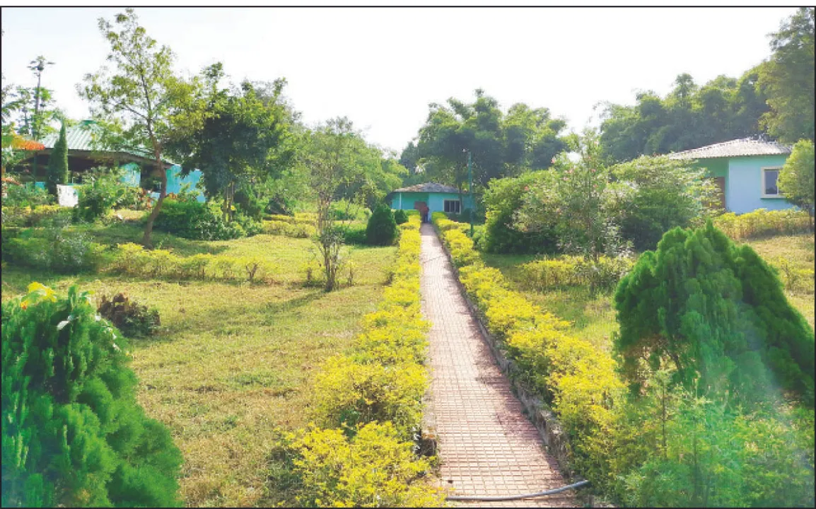  ଆଶଙ୍କାରେ ସାତକୋଶିଆ ପର୍ଯ୍ୟଟନ ପ୍ରକଳ୍ପ: ସ୍ପଷ୍ଟୀକରଣ ମାଗିଲା ଏନ୍‌ଟିସିଏ