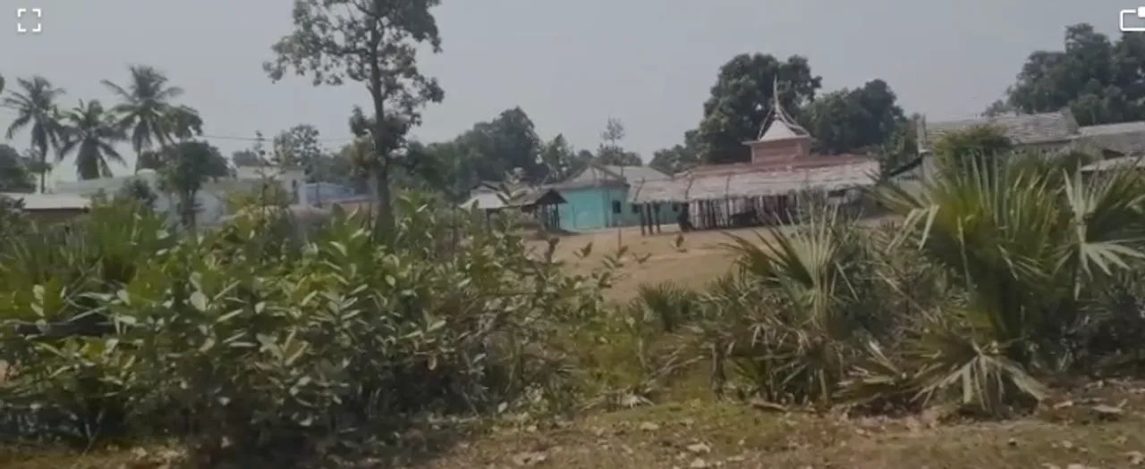  ପାଲଲହଡ଼ାରେ ରକ୍ତଟଣା ଜିଙ୍କ ପୋକ ଆତଙ୍କ, ଲୋକେ ଆତଙ୍କିତ