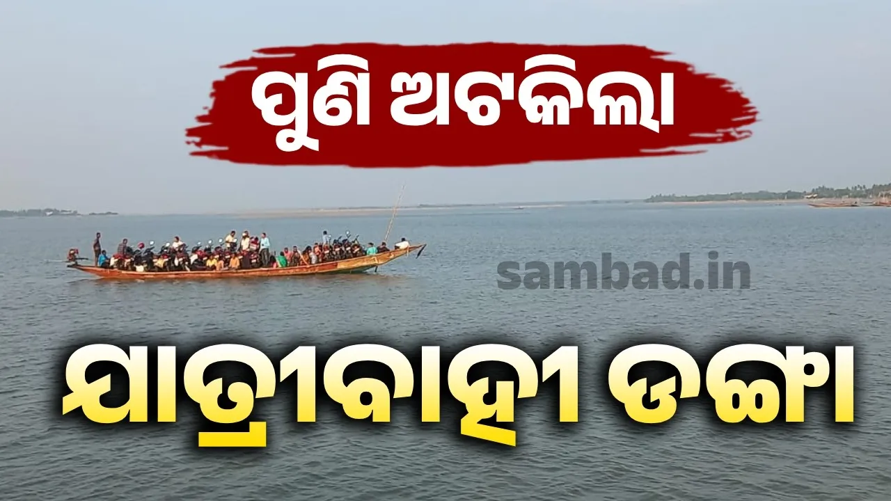  Chilika lake Photograph: (sambad.in) 