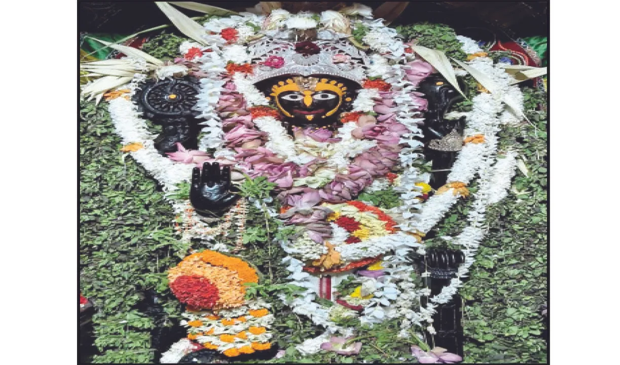  ଶ୍ରୀଅଲାରନାଥଙ୍କ ଅଣସର ଉତ୍ସବର ତୃତୀୟ ଦିନ: ୪୦ ହଜାର ଶ୍ରଦ୍ଧାଳୁଙ୍କ ଶୃଙ୍ଖଳିତ ଦର୍ଶନ
