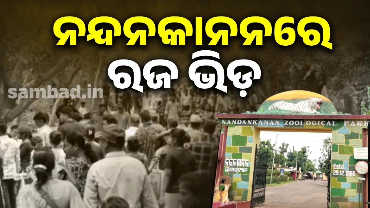  18134 tourists visited Nandankanan in the third Day of Raja Photograph: (sambad.in) 