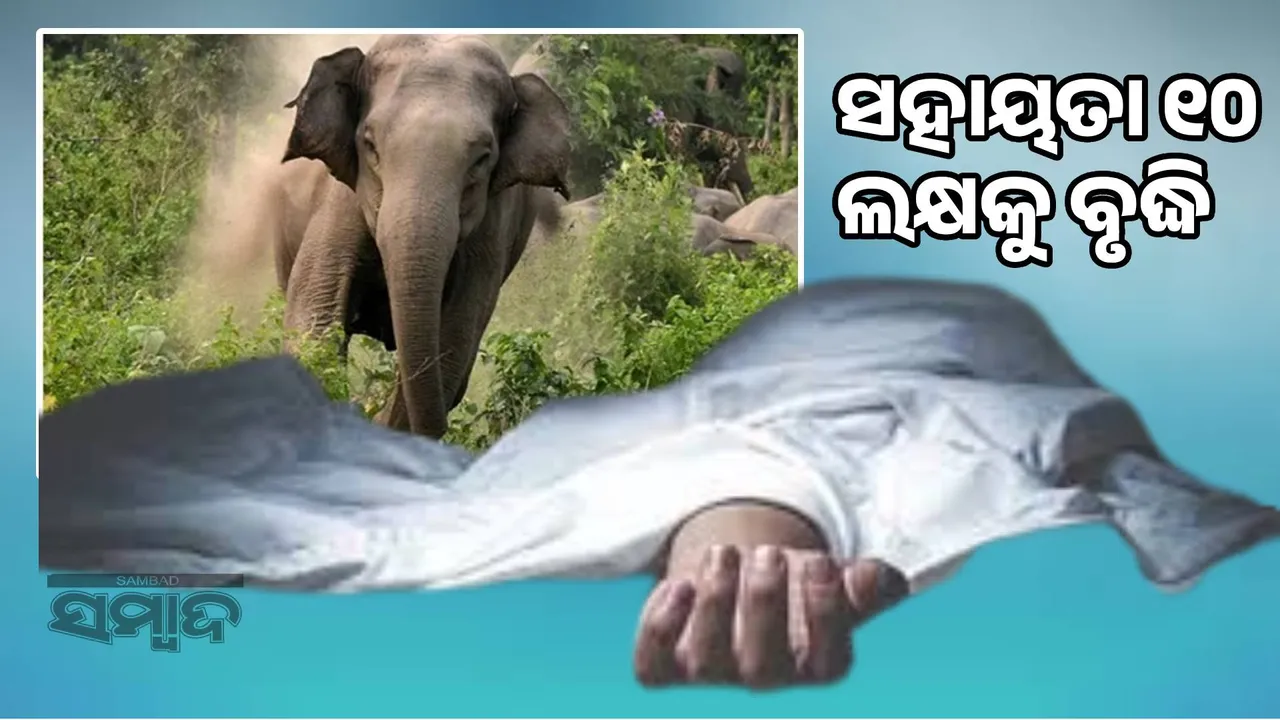  Odisha government revises ex-gratia payment for human death and house damage under Wildlife Act Photograph: (sambad.in) 