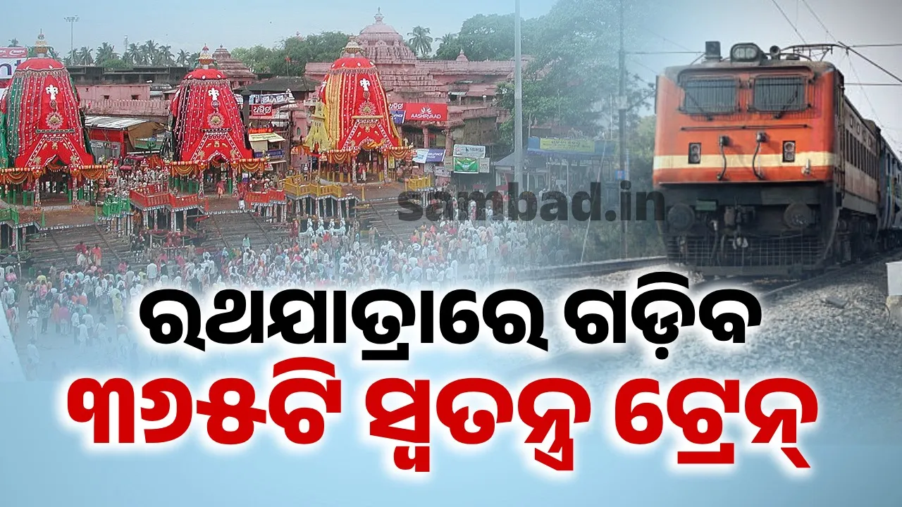  Puri Rath Yatra Photograph: (sambad.in) 