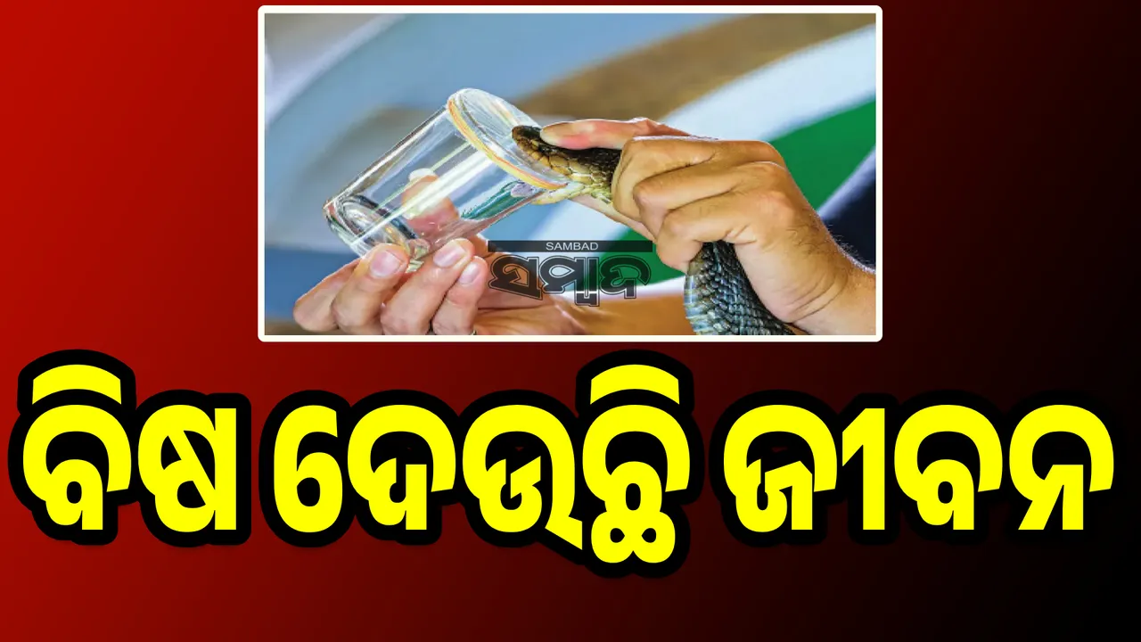  ଭିନ୍ନ ବୃତ୍ତି: ବିଷ ଦେଉଛି ଜୀବନ