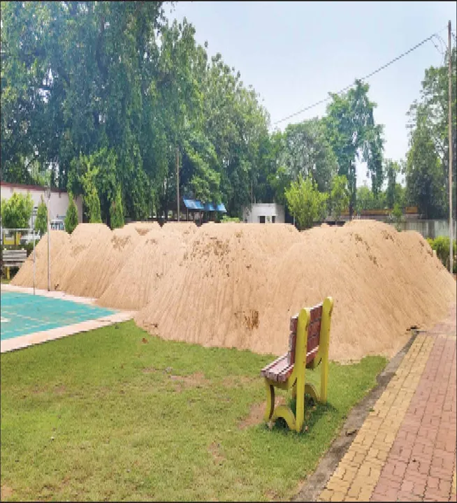  ଗୋଚର ଜମିରେ ଶହ ଶହ ଟ୍ରିପ୍ ବାଲି ଗଦା