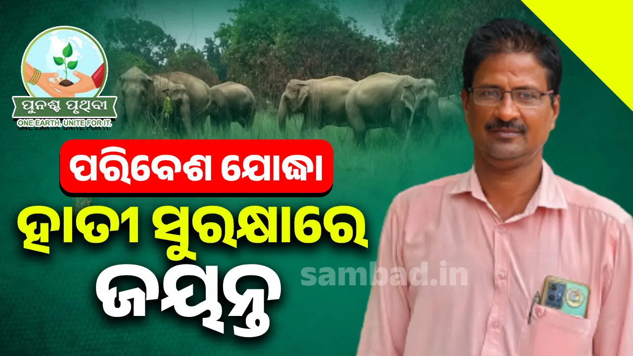  ପରିବେଶ ଯୋଦ୍ଧା: ହାତୀ ସୁରକ୍ଷାରେ ଜୟନ୍ତ