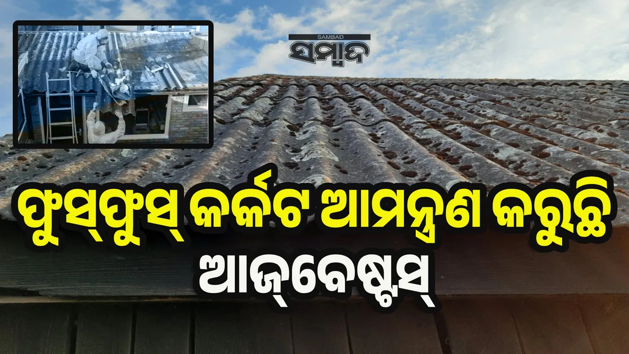  ଫୁସ୍‌ଫୁସ୍‌ କର୍କଟ ଆମନ୍ତ୍ରଣ କରୁଛି ଆଜ୍‌ବେଷ୍ଟସ୍