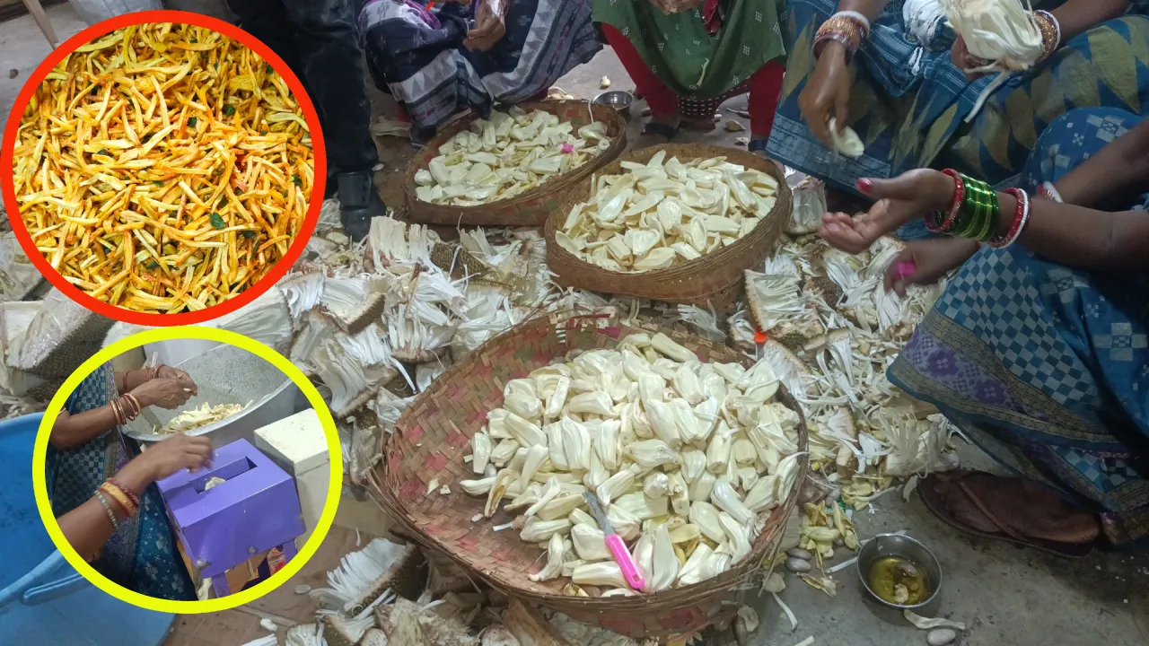 ପଣସ ଯୋଗେଇଛି ରୋଜଗାର: ପ୍ରସ୍ତୁତ ହେଉଛି ବିଭିନ୍ନ ପ୍ରକାରର ଖାଦ୍ୟ