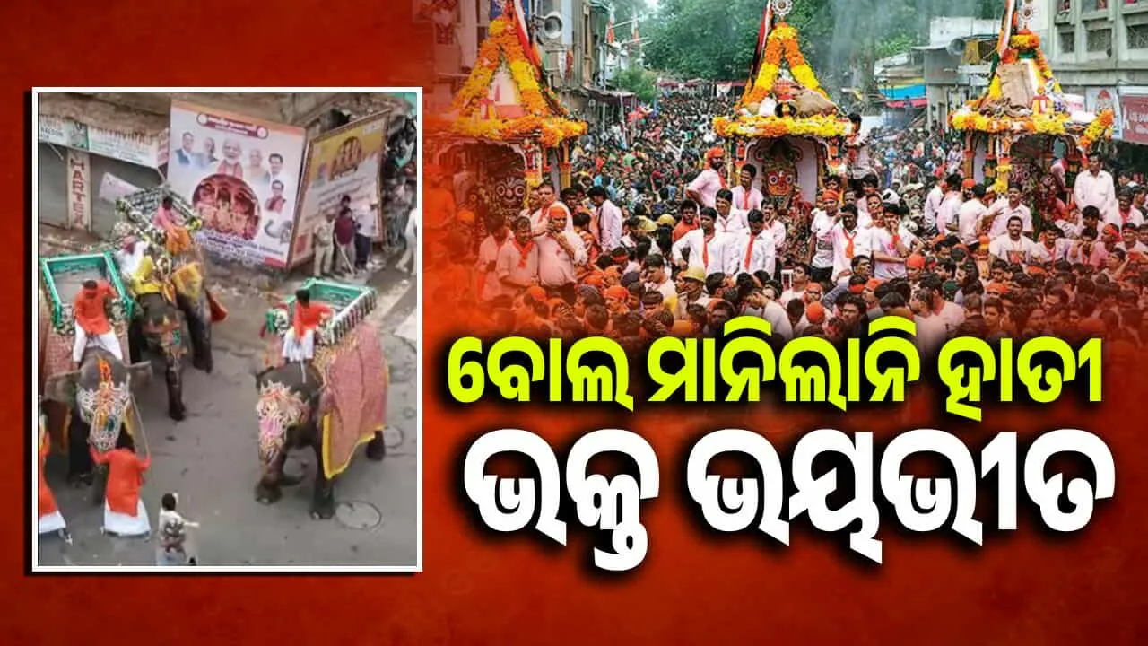  ଅହମଦାବାଦ ରଥଯାତ୍ରାରେ ଅଘଟଣ: ଅଣାୟତ୍ତ ହେଲେ ଗଜରାଜ, ଭୟରେ ଧାଇଁଲେ ଭକ୍ତ..