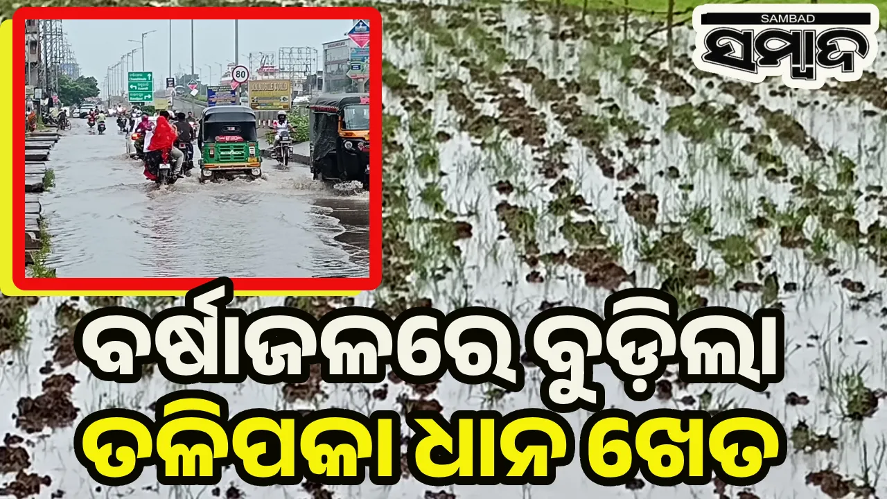  ଭଦ୍ରକରେ ବର୍ଷା: ଆରଡ଼ି ଛକ ରାସ୍ତାରେ ଆଣ୍ଠୁଏ ପାଣି