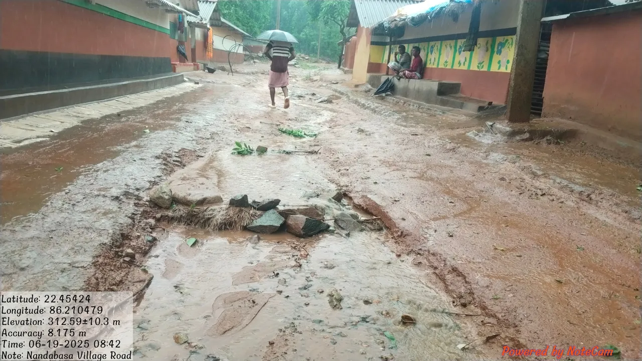  ନିବେଦନ ଶୁଣୁ ନାହାଁନ୍ତି ନେତା-ଅଧିକାରୀ! ନନ୍ଦାବସା ଗ୍ରାମକୁ ପକ୍କାରାସ୍ତା କେବେ?