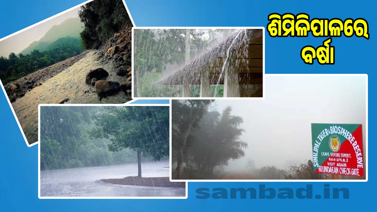  Rainfall in Shimlipal: Highest in Bhanjavasa, lowest in Thakurmunda Photograph: (sambad.in) 
