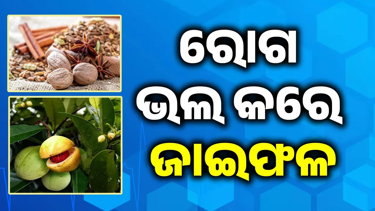  ଶରୀର ପାଇଁ କେତେ ଜରୁରୀ ଜାଇଫଳ ? ଜାଣନ୍ତୁ ଆପଣଙ୍କ ରୋଷେଇ ଘରେ ଥିବା ରୋଗ ପାଇଁ ରାମବାଣ ସମ୍ପର୍କରେ..