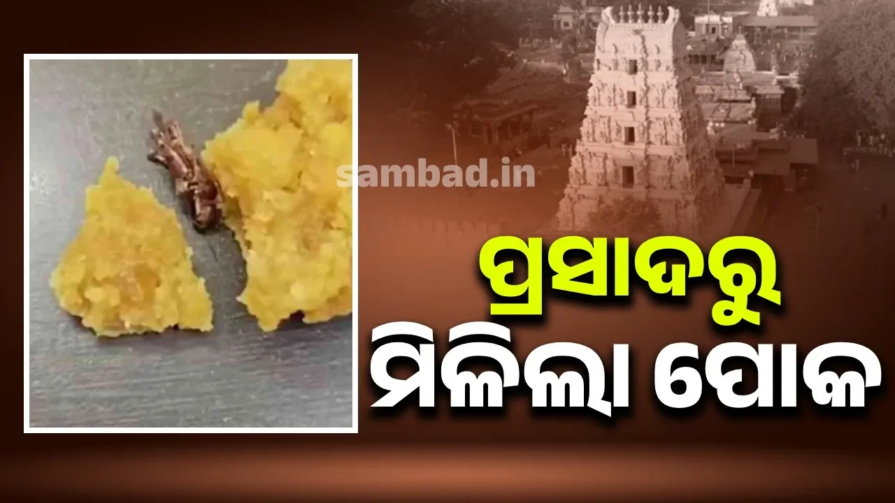  ଆନ୍ଧ୍ରପ୍ରଦେଶର ମନ୍ଦିରରେ ମିଳିଥିବା ପ୍ରସାଦରୁ ବାହାରିଲା ପୋକ
