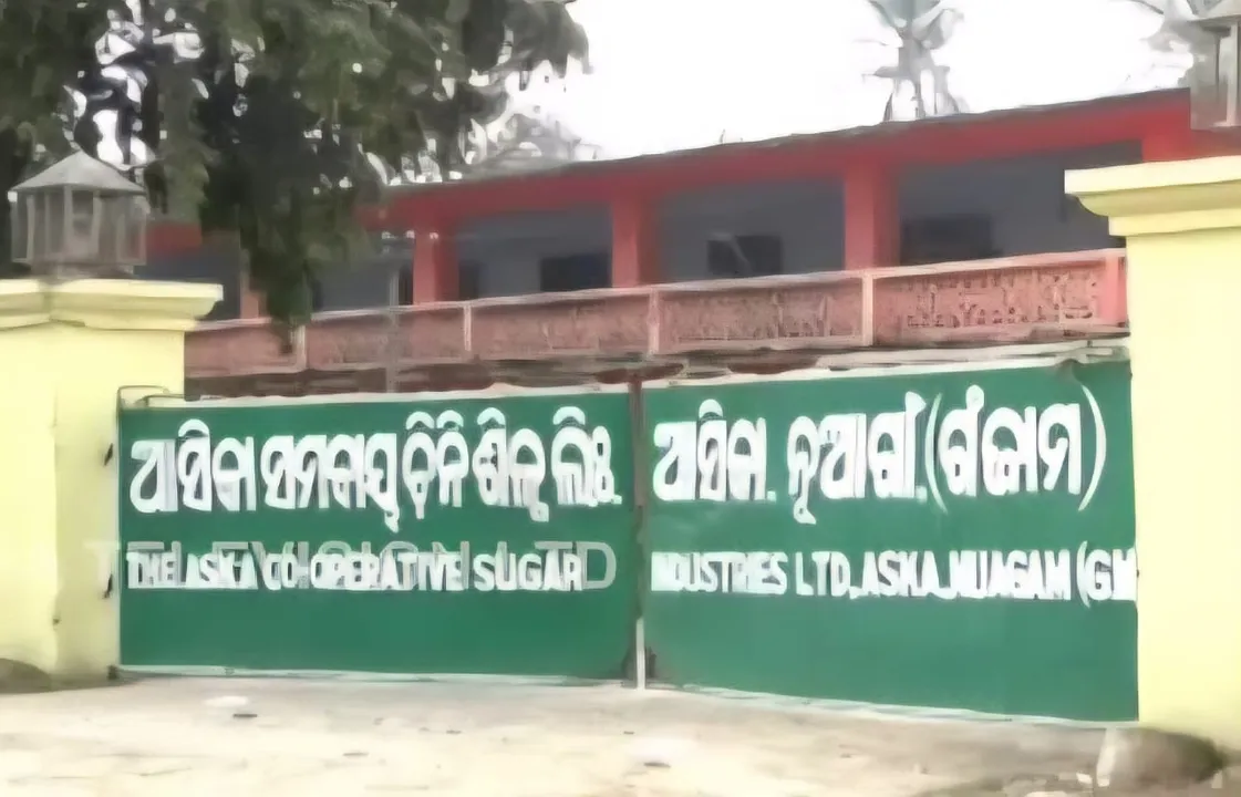  ଆସିକା ସମବାୟ ଚିନି ଶିଳ୍ପରେ ପୁଣି ଅଘଟଣ: ୬୦ ଫୁଟ ଉପରୁ ପଡ଼ି ଶ୍ରମିକଙ୍କ ମୃତ୍ୟୁ