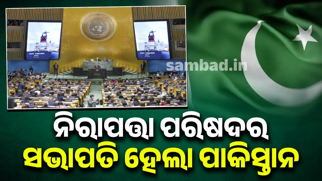  ଗୋଟିଏ ମାସ ପାଇଁ ନିରାପତ୍ତା ପରିଷଦର ସଭାପତି ହେଲା ପାକିସ୍ତାନ