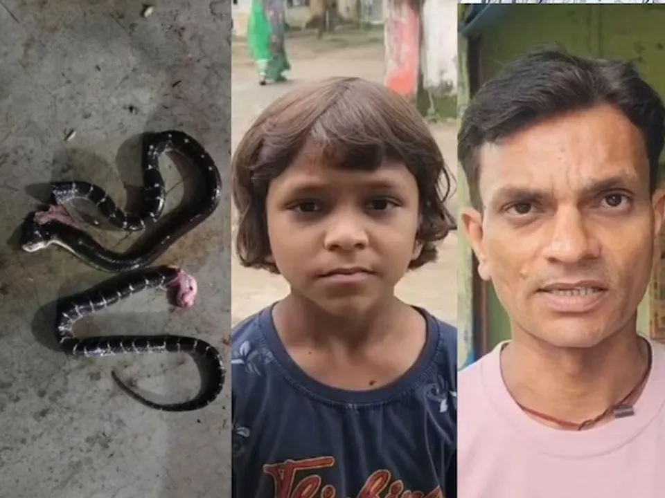  ସାରାରାତି ଶିଶୁ ବେକରେ ଘୁଡ଼ାଇ ହୋଇ ରହିଥିଲେ ନାଗ-ନାଗୁଣୀ: ବାପାଙ୍କ ଉପସ୍ଥିତ ବୁଦ୍ଧି ହେତୁ ବଞ୍ଚିଲା ଝିଅର ଜୀବନ