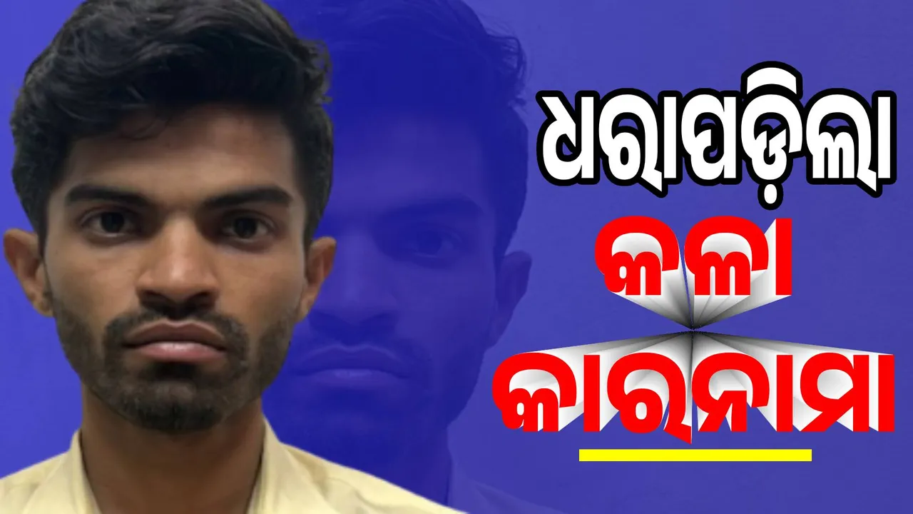  ଶୌଚାଳୟ ଭିତରେ ମହିଳାଙ୍କ ଭିଡିଓ କରି ଧରାପଡ଼ିଲେ ଇଞ୍ଜିନିୟର୍‌