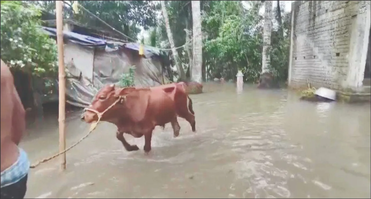  ବିନା ସୂଚନାରେ ଖୋଲିଦେଲେ ହଦଗଡ଼ ଡ୍ୟାମ୍‌ ଫାଟକ: ସାଳନ୍ଦୀରେ ମାଡ଼ିଆସିଲା ବନ୍ୟାଜଳ