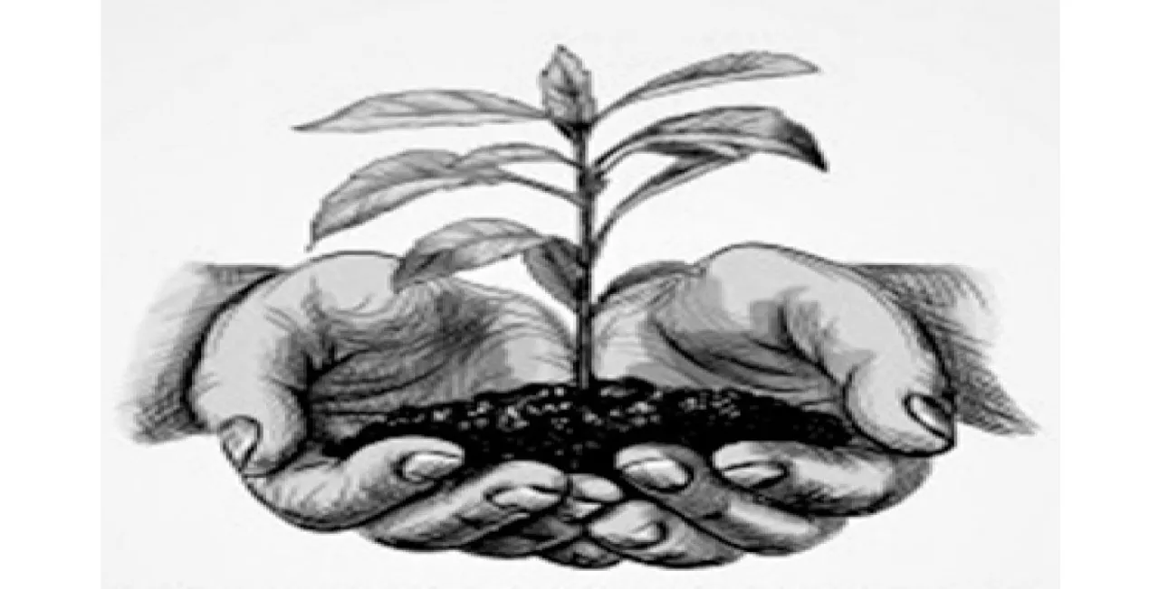  ସବୁଜିମା ଭରା ଭାରତ