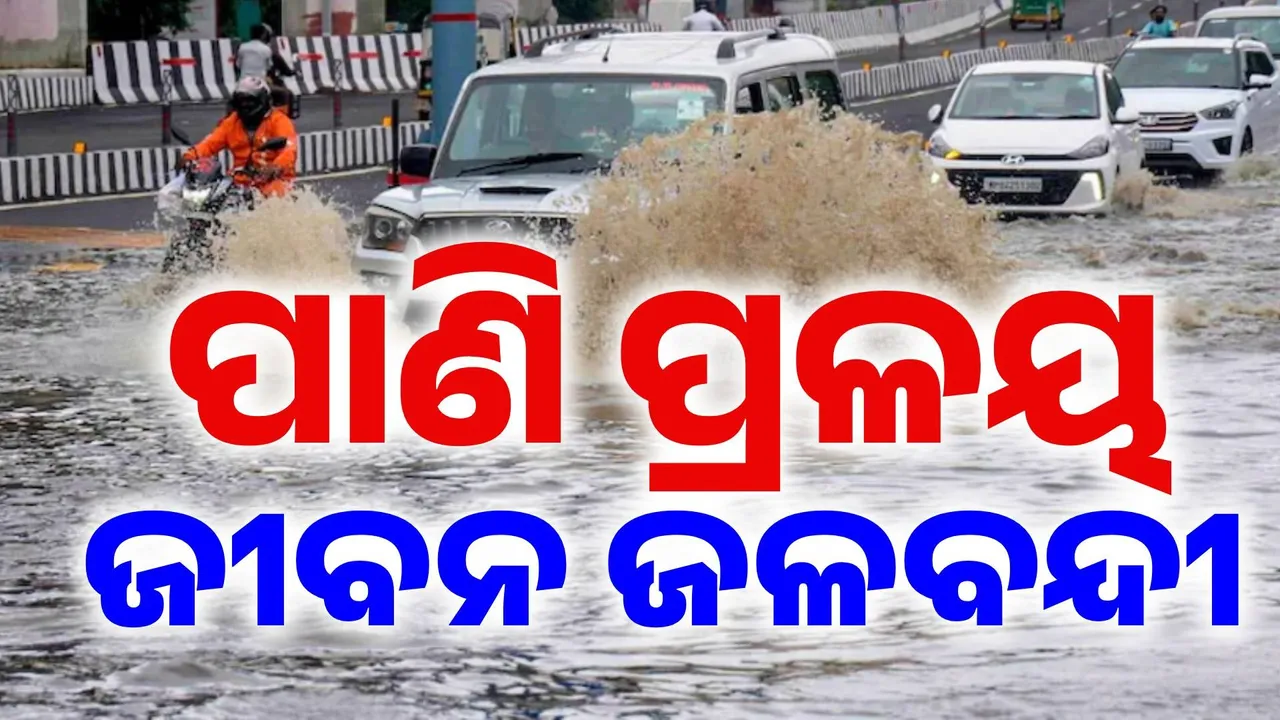  ଭାରତରେ ତାଣ୍ଡବ ରଚୁଛି ଲଗାଣ ବର୍ଷା: ଅନେକ ସ୍ଥାନରେ ଜଳବନ୍ଦୀ ଜୀବନ, ସ୍ଥିତି ପୂରା ସଙ୍ଗୀନ୍