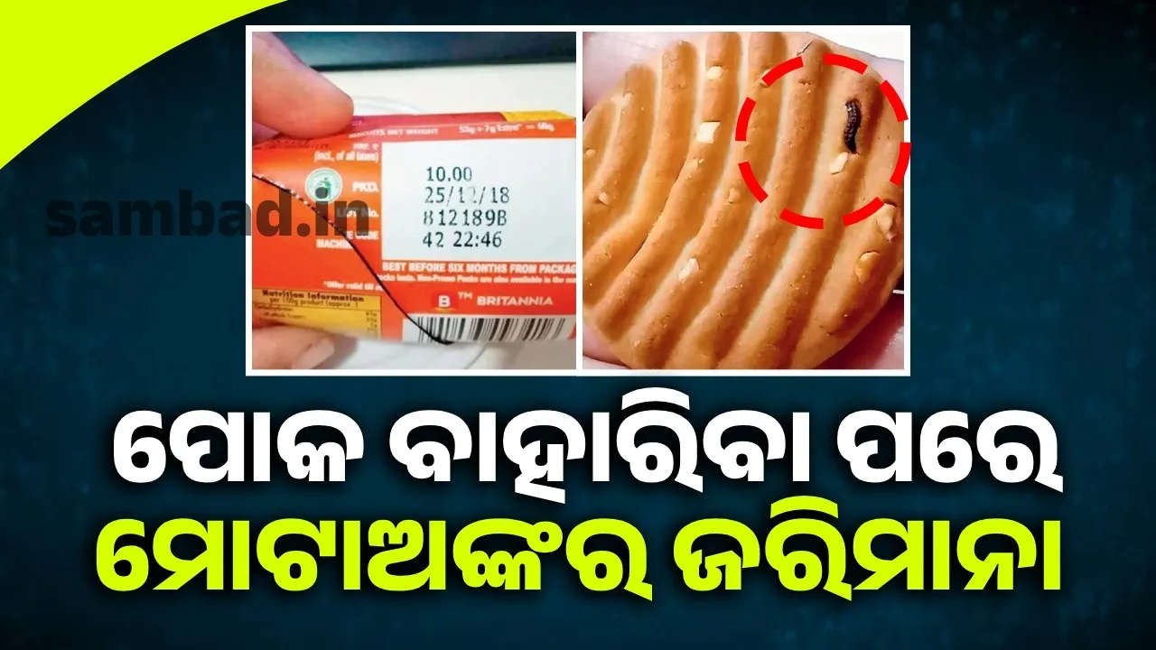  ବିସ୍କୁଟରୁ ବାହାରିଥିଲା ପୋକା; ବ୍ରିଟାନିଆ କମ୍ପାନି ଓ ଦୋକାନୀଙ୍କୁ ଲାଗୁ ହେଲା ମୋଟା ଅଙ୍କର ଜରିମାନା