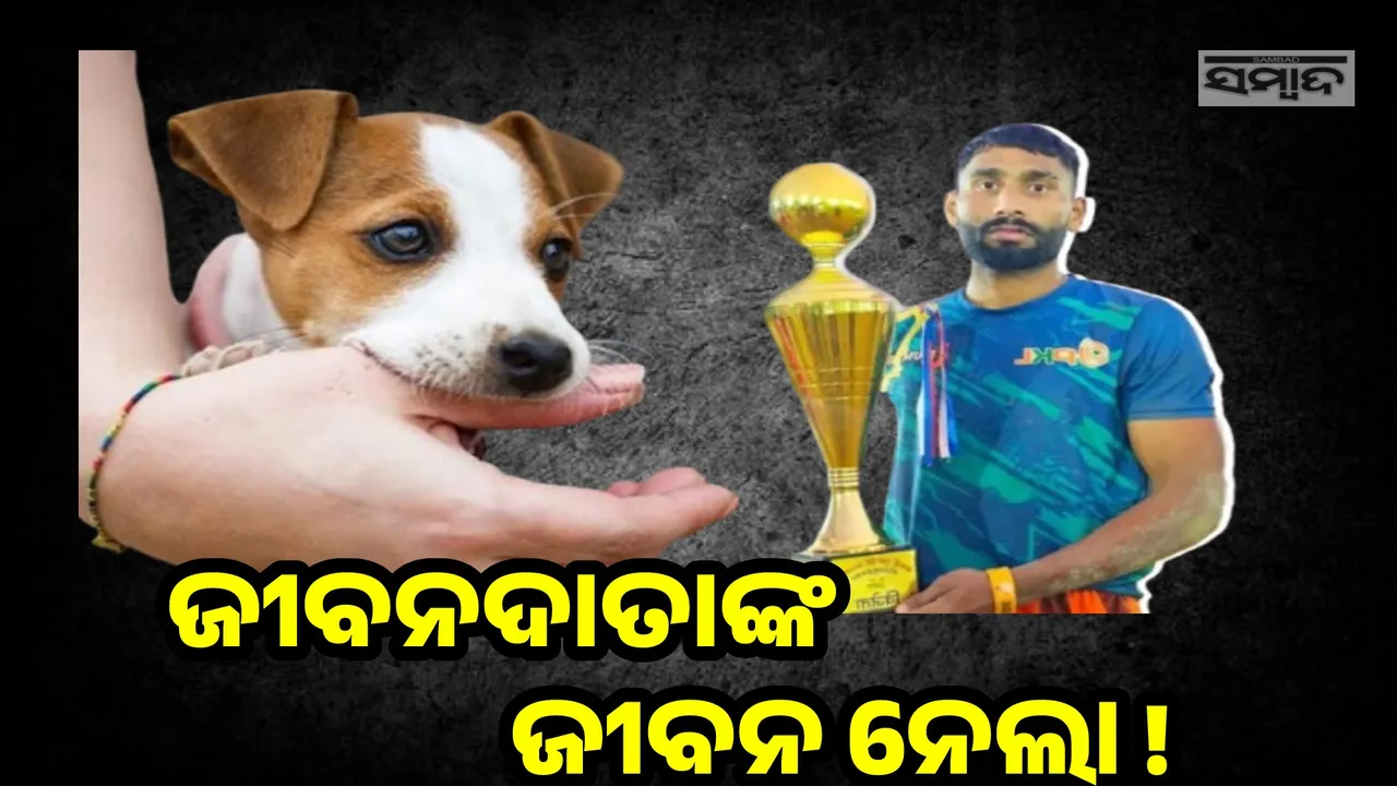  ଗୋଟାଏ ଭୁଲ୍ ନେଲା କବାଡ଼ି ଖେଳାଳିଙ୍କ ଜୀବନ, କୁକୁର କାମୁଡ଼ିବା ପରେ ନେଇନଥିଲେ ଟୀକା