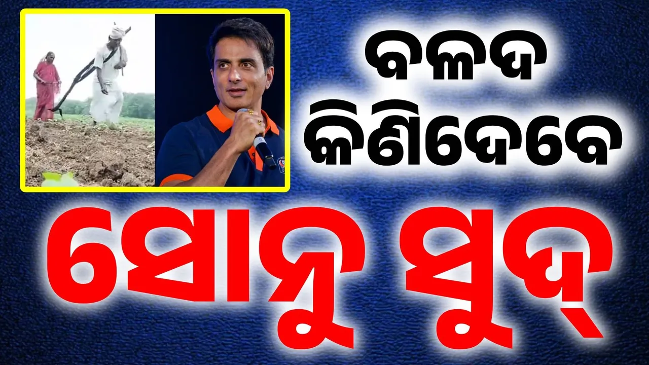  ବୃଦ୍ଧ ଚାଷୀ ଦମ୍ପତିଙ୍କ ହୃଦୟ ବିରାଦକ ଭିଡିଓ ଦେଖି ସହିପାରିଲେନି ସୋନୁ ସୁଦ.. ସାହାଯ୍ୟ ପାଇଁ କହିଲେ ଏମିତି କଥା