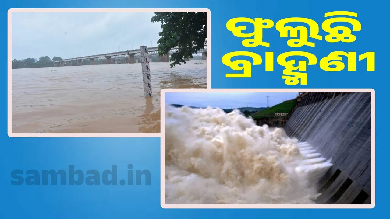  Water level of Brahmani not reduce:  8 gates of Mandira Dam opened Photograph: (sambad.in) 