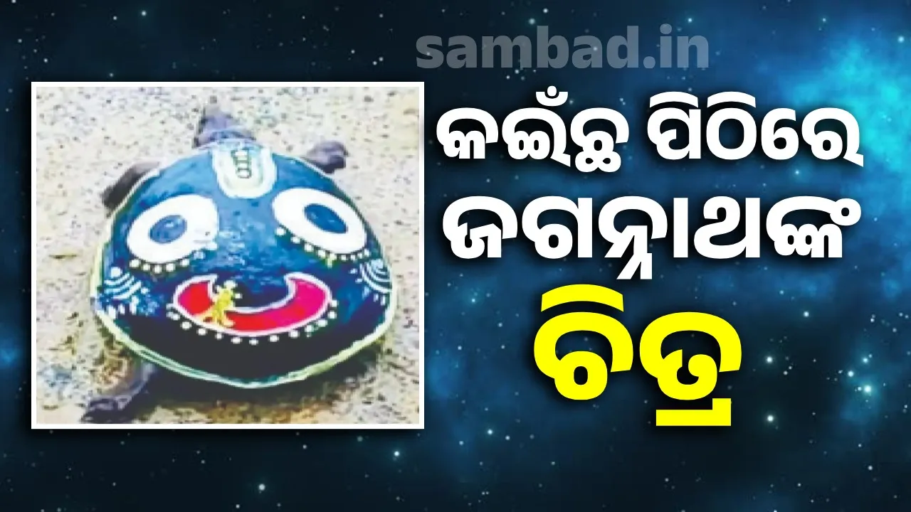  କଇଁଛ ପିଠିରେ ଜଗନ୍ନାଥଙ୍କ ଚିତ୍ର, ଅଡ଼ୁଆରେ ୟୁଟ୍ୟୁବର୍‌: ମୁଖ୍ୟ ବନ୍ୟପ୍ରାଣୀ ଵାର୍ଡେନ୍‌ଙ୍କୁ ଅଭିଯୋଗ