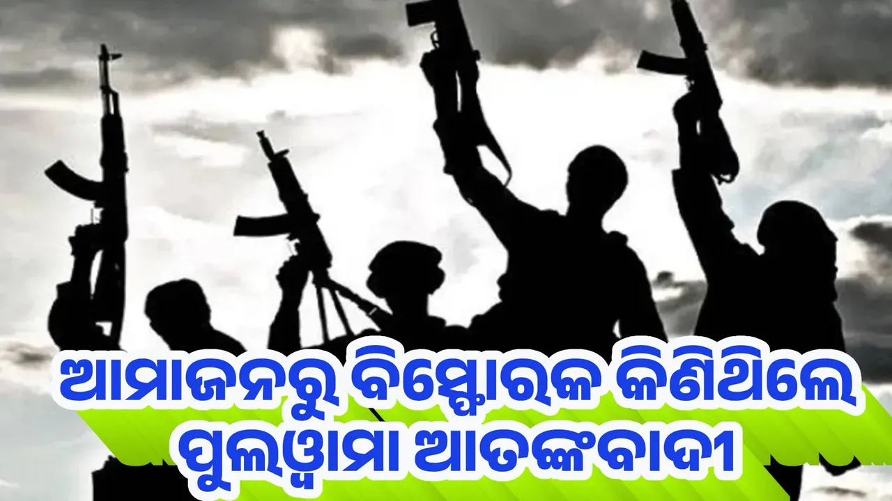  ଆମାଜନରୁ ବିସ୍ଫୋରକ କିଣିଥିଲେ ପୁଲଓ୍ବାମା ଆତଙ୍କବାଦୀ