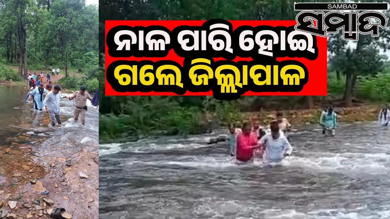  ନାଳ ପାରି ହୋଇ ଦୁର୍ଗମ ଅଞ୍ଚଳକୁ ଚାଲିଚାଲି ପହଞ୍ଚିଲେ ଜିଲ୍ଲାପାଳ