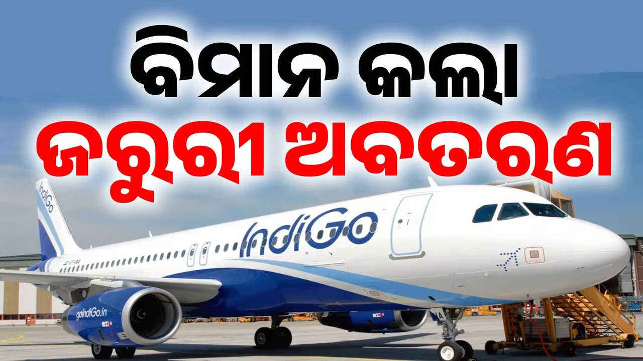  ପକ୍ଷୀ ମାଡ଼ ହେବାରୁ ଜରୁରୀ ଅବତରଣ କଲା ଇଣ୍ଡିଗୋ ବିମାନ, ଯାତ୍ରୀ ସୁରକ୍ଷିତ