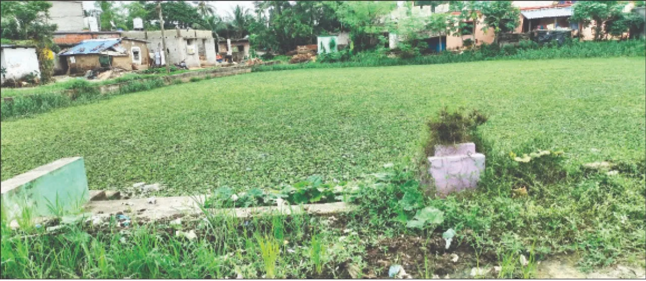  ରୋଗବାହକ ସାଜିଛି ଦଳଭର୍ତ୍ତି ପୋଖରୀ