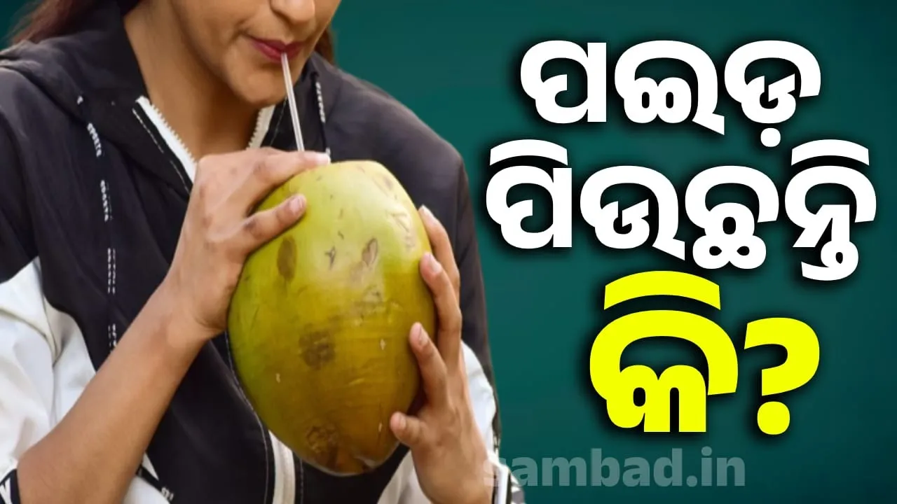  ଚା’, କଫି ଛାଡ଼ନ୍ତୁ; ସୁସ୍ଥ ରହିବାକୁ ଚାହୁଁଥିଲେ ପଇଡ଼ ପାଣି ପିଅନ୍ତୁ