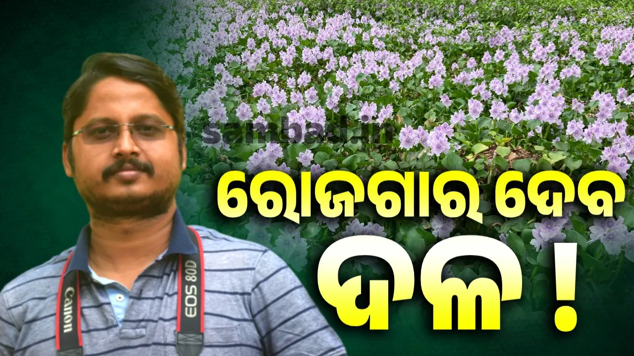  ମୁଣ୍ଡବିନ୍ଧାର କାରଣ ପାଲଟିଥିବା ରାଜଦଳକୁ ଏଭଳି କରିହେବ ବ୍ୟବହାର