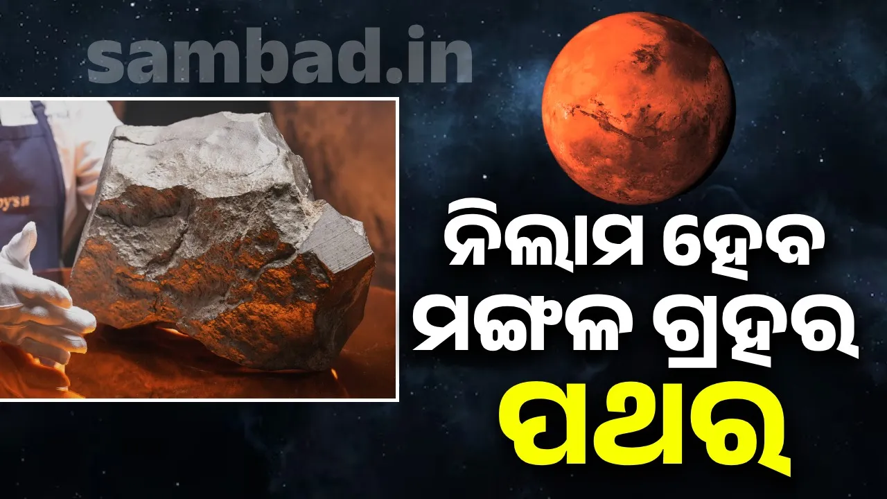  ନିଲାମ ହେବ ମଙ୍ଗଳ ଗ୍ରହର ପଥର
