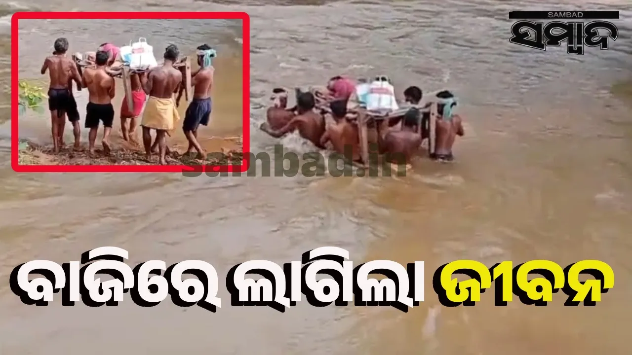  ବଢ଼ିଲା ନାଳକୁ ଖଟିଆ ଭରଷା: ଗୁରୁତର ରୋଗୀକୁ ଏମିତି ନେଲେ ଗ୍ରାମବାସୀ