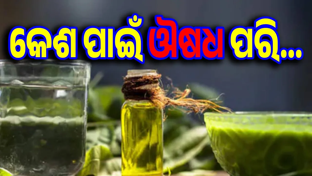  ସବୁଜ ଚା’ ନା ନିମ୍ବ ପତ୍ର କେଉଁଟି ଭଲ କେଶ ପାଇଁ?