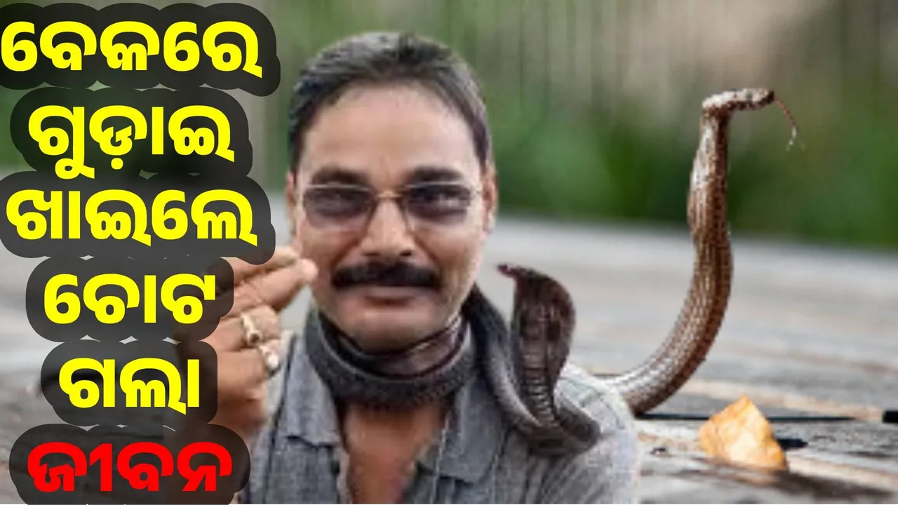  ପ୍ରଦର୍ଶନ ପାଇଁ ସାଇତି ରଖିଥିବା ନାଗସାପ ଚୋଟରେ ସର୍ପମିତ୍ରଙ୍କ ମୃତ୍ୟୁ