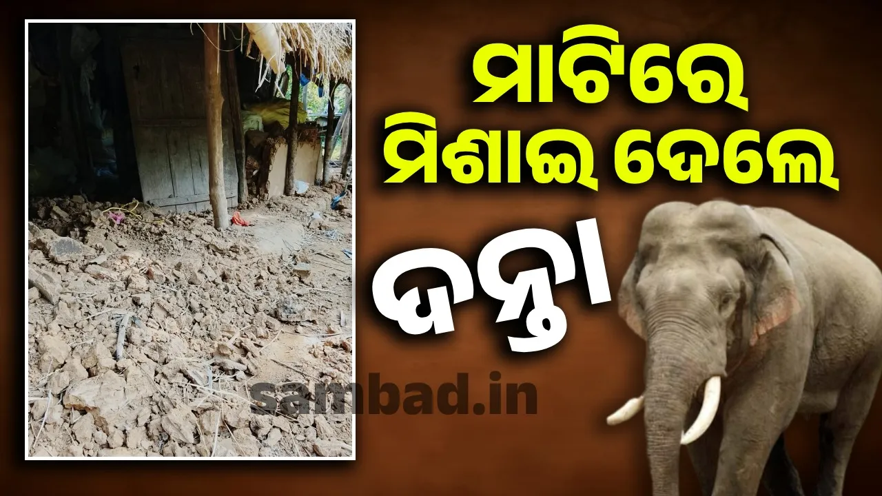  ଗାଁରେ ଗଜରାଜର ଉତ୍ପାତ: ହାତୀ ଭୟରେ ସାରା ରାତି ଅନିଦ୍ରା ରହୁଛନ୍ତି ଲୋକେ