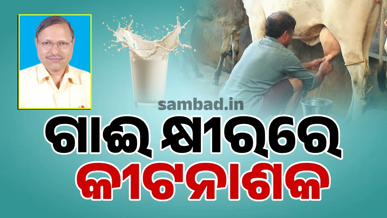  କ୍ଷୀରରେ ଜହର: ସାବଧାନ ! ଗାଈ କ୍ଷୀର ହେଉ କି ମାଆ କ୍ଷୀର.. ସବୁଥିରେ ରହିଛି ବିଷ ! ଜାଣନ୍ତୁ କେମିତି ବିଷ ପାଲଟୁଛି ଅମୃତ ?